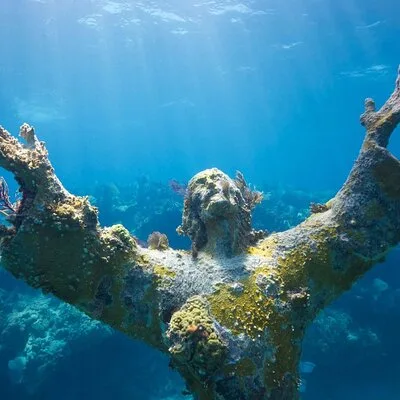 John Pennekamp Coral Reef State Park